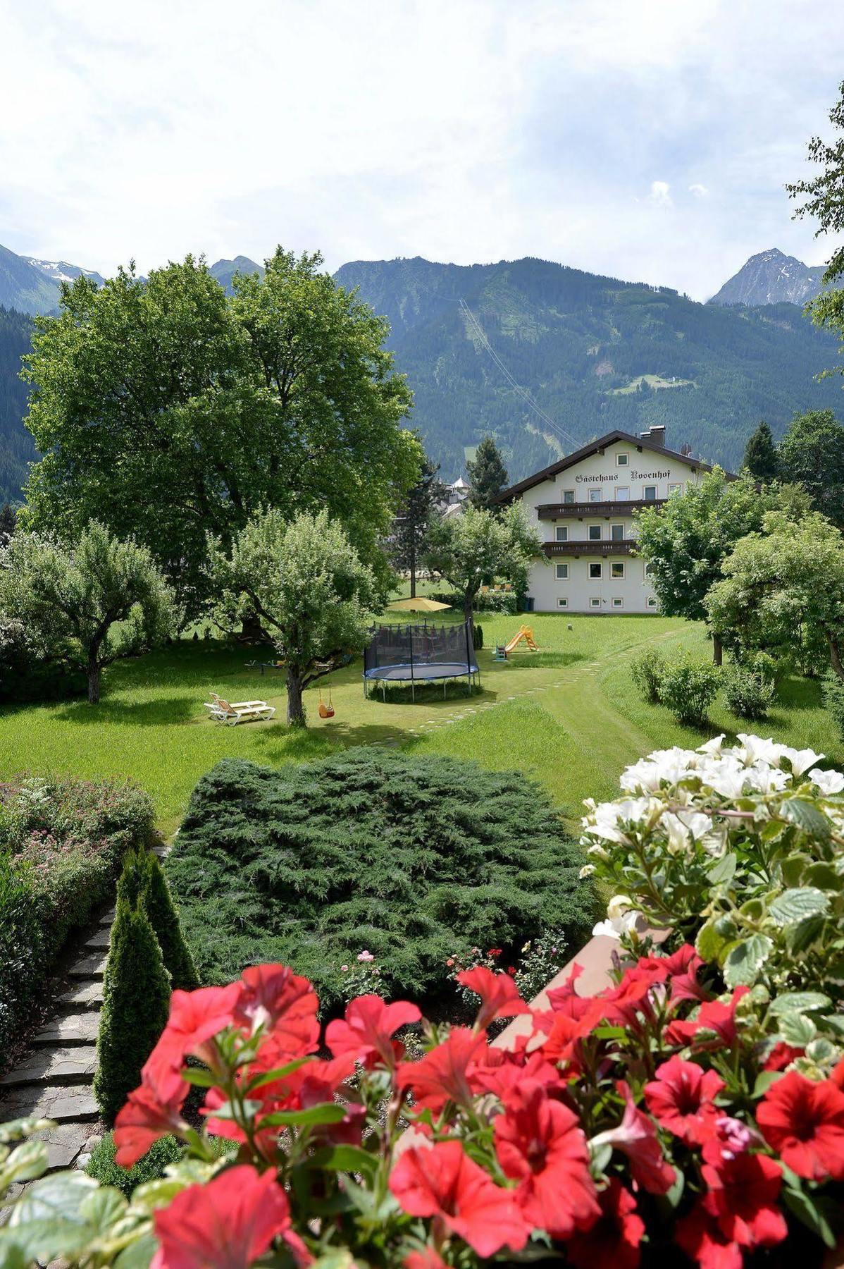 Pension Birkenhof Mayrhofen Esterno foto